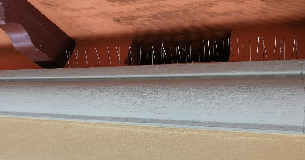 antivolatili3